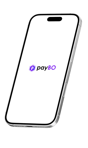 PayBO Platform on Smartphone